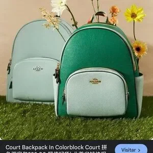 Coach | Bags | Coach Green And Gray Backpack With Gold  display picture 3